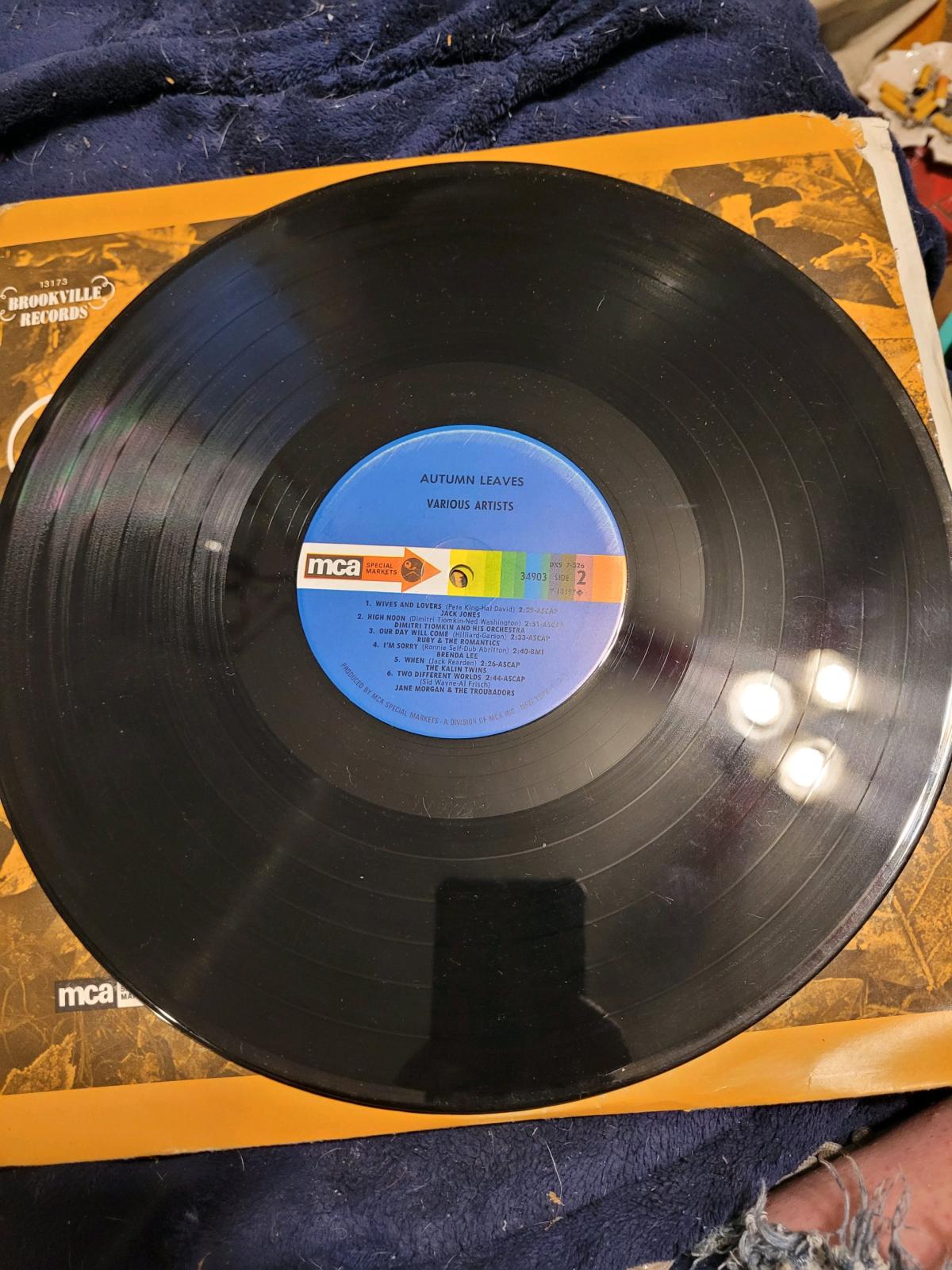 Autumn leaves vinyl record - Blue Earth, Minnesota - FleaMarketBay