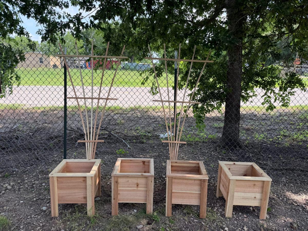 Fan garden trellis for climbing plants and cedar plan - Seguin, Texas - FleaMarketBay