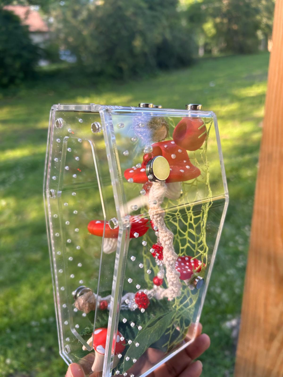 MushRoom Jumping Spider Enclosure Kit - Acworth, Georgia - FleaMarketBay