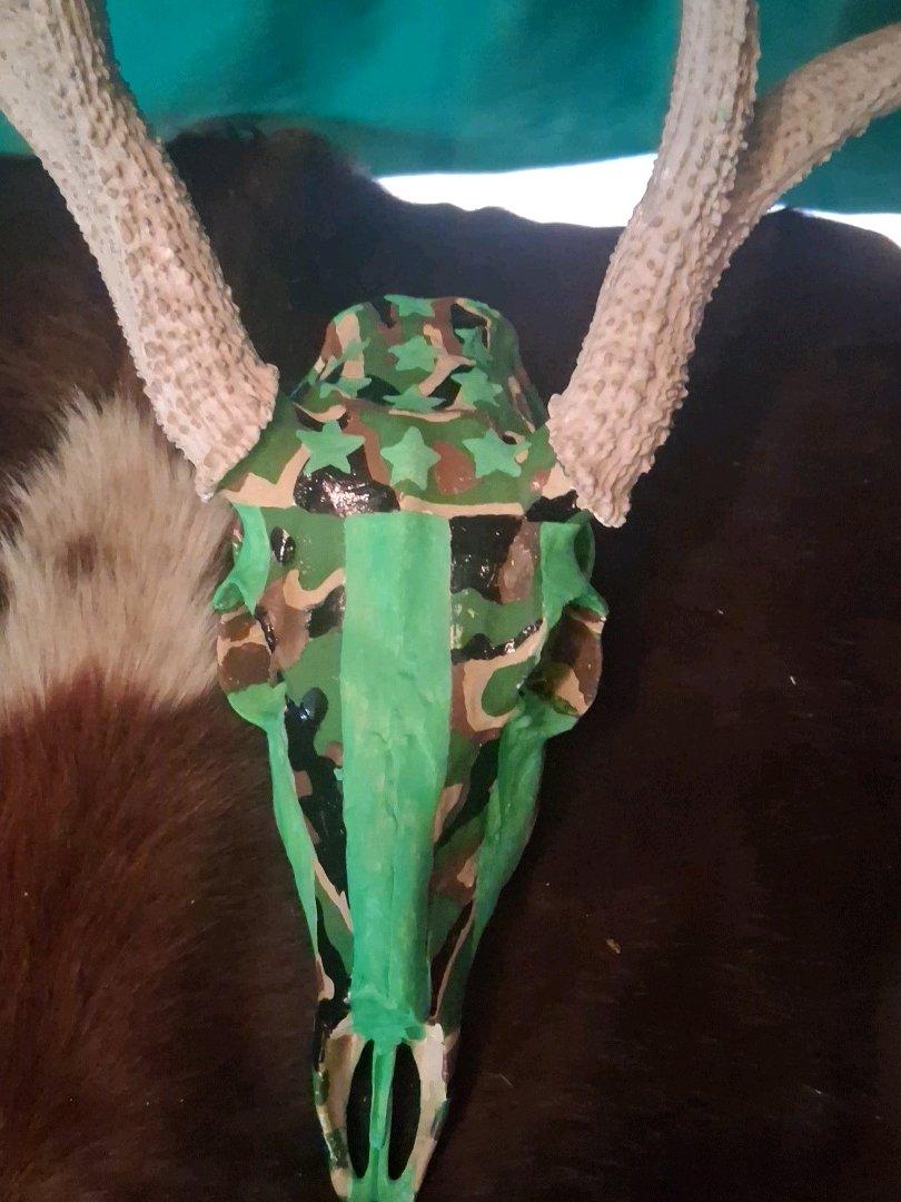 camouflage flag on dear skull - Floresville, Texas - FleaMarketBay