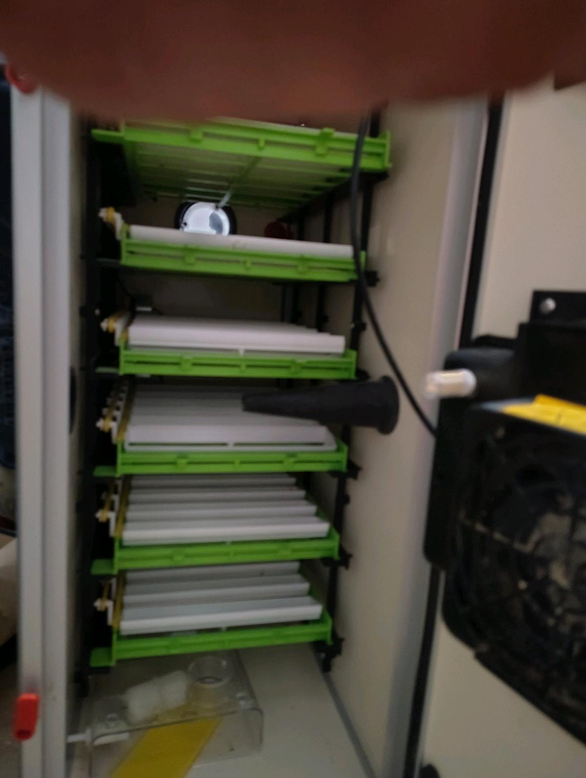 Incubators for chicken peacock quail turkey duck goose - Magnolia, Texas - FleaMarketBay