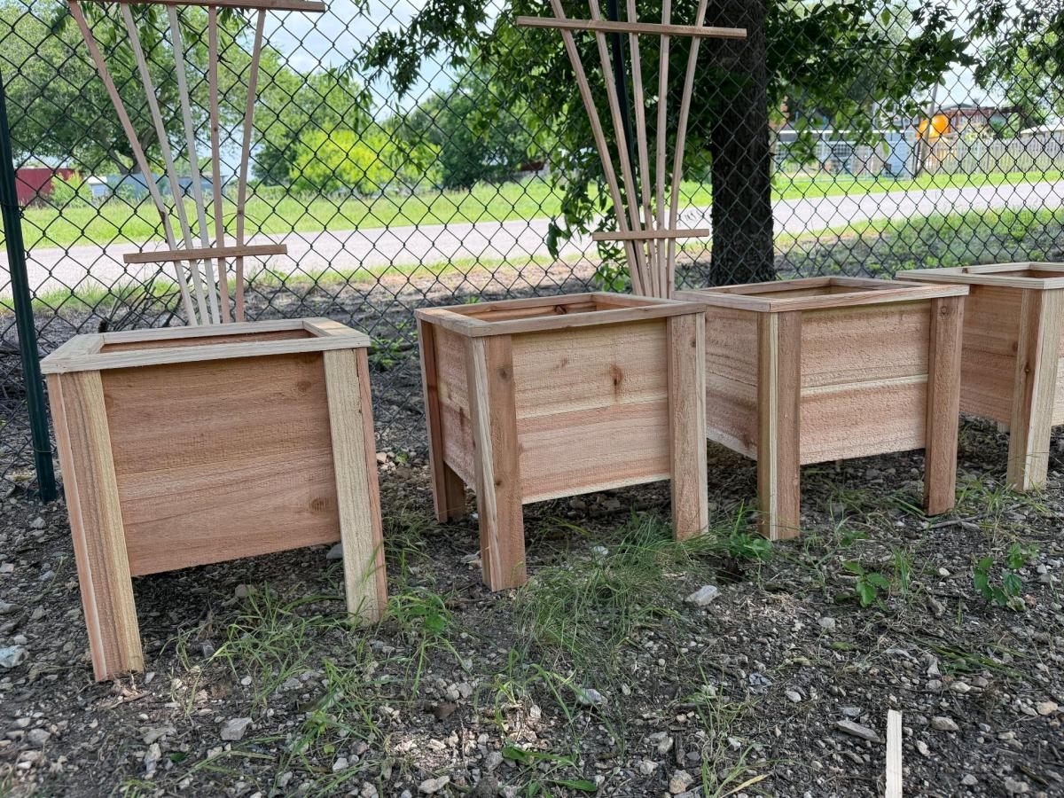 Fan garden trellis for climbing plants and cedar plan - Seguin, Texas - FleaMarketBay