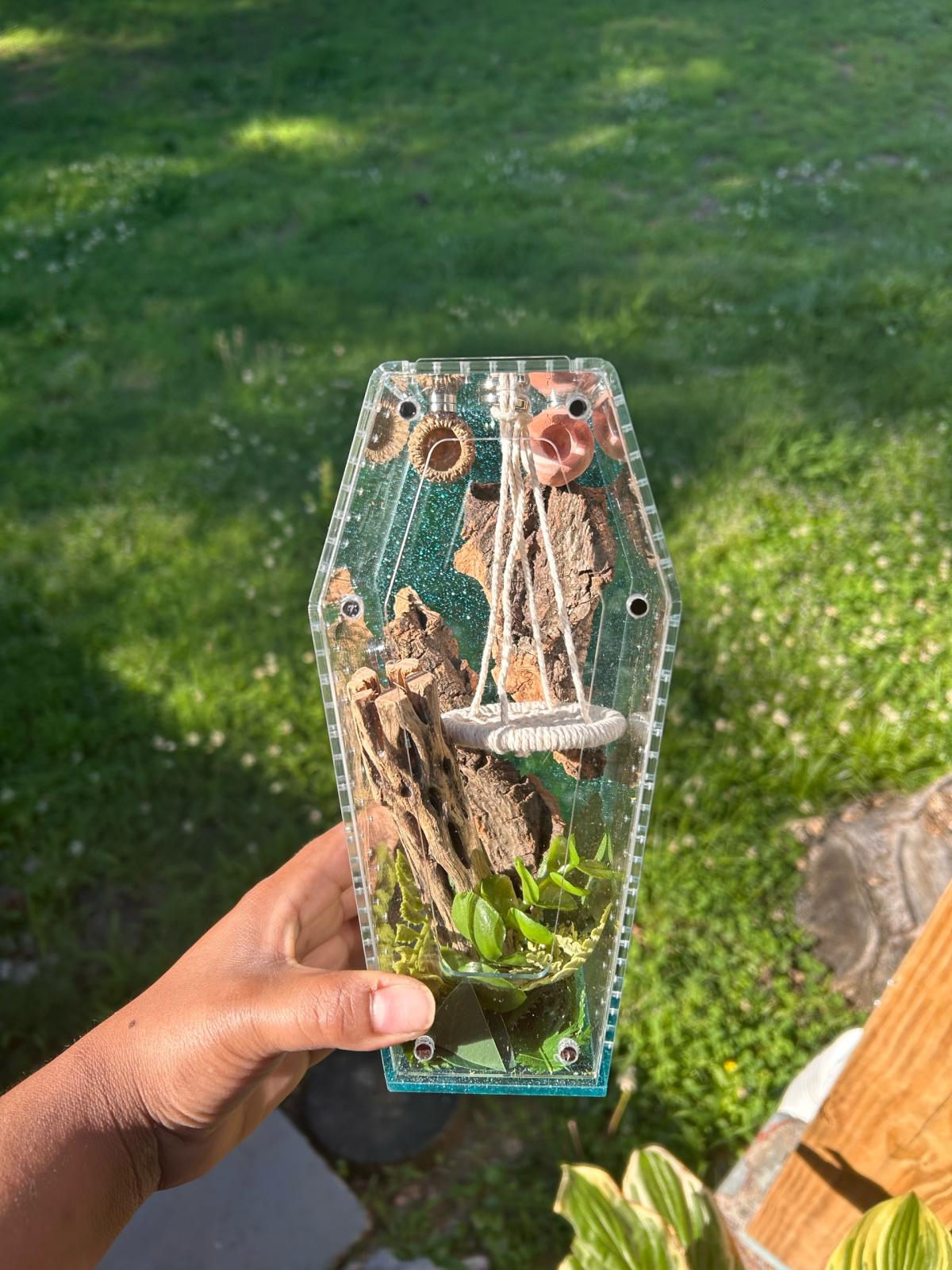 Jumping Spider Enclosure - Acworth, Georgia - FleaMarketBay