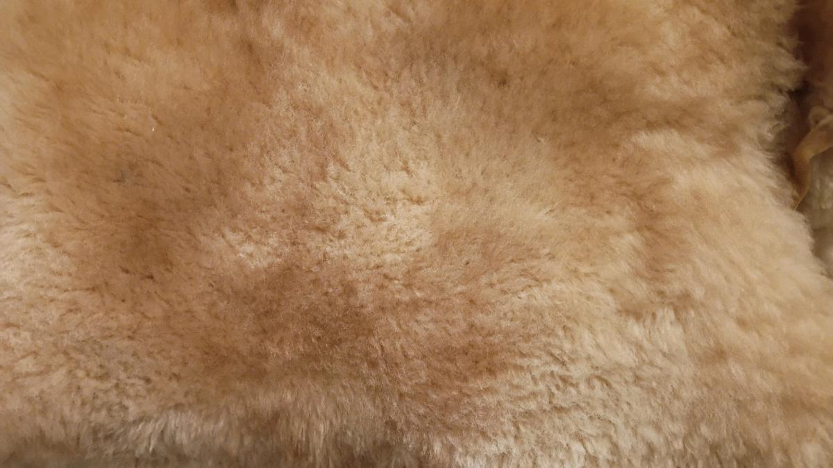 sheepskin hide rug - Chicago, Illinois - FleaMarketBay