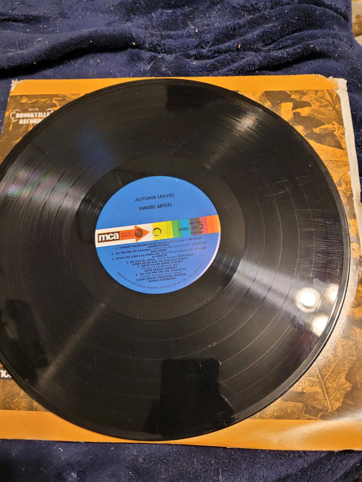 Autumn leaves vinyl record - Blue Earth, Minnesota - FleaMarketBay