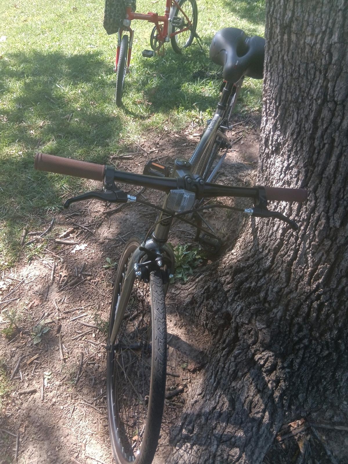 almost new mountain bike - Adelanto, California - FleaMarketBay