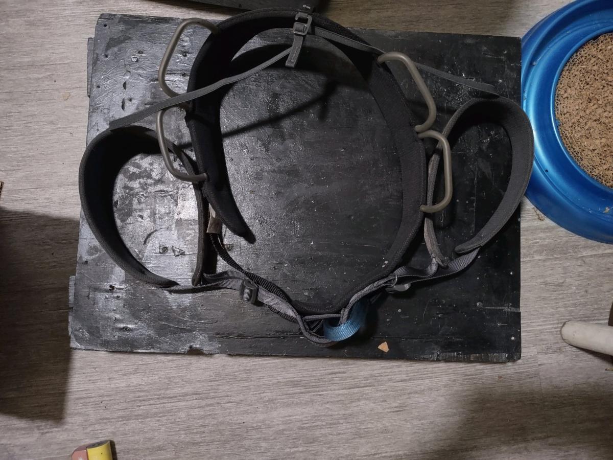 Black Diamond Momentum Harness Mens - Bremerton, Washington - FleaMarketBay