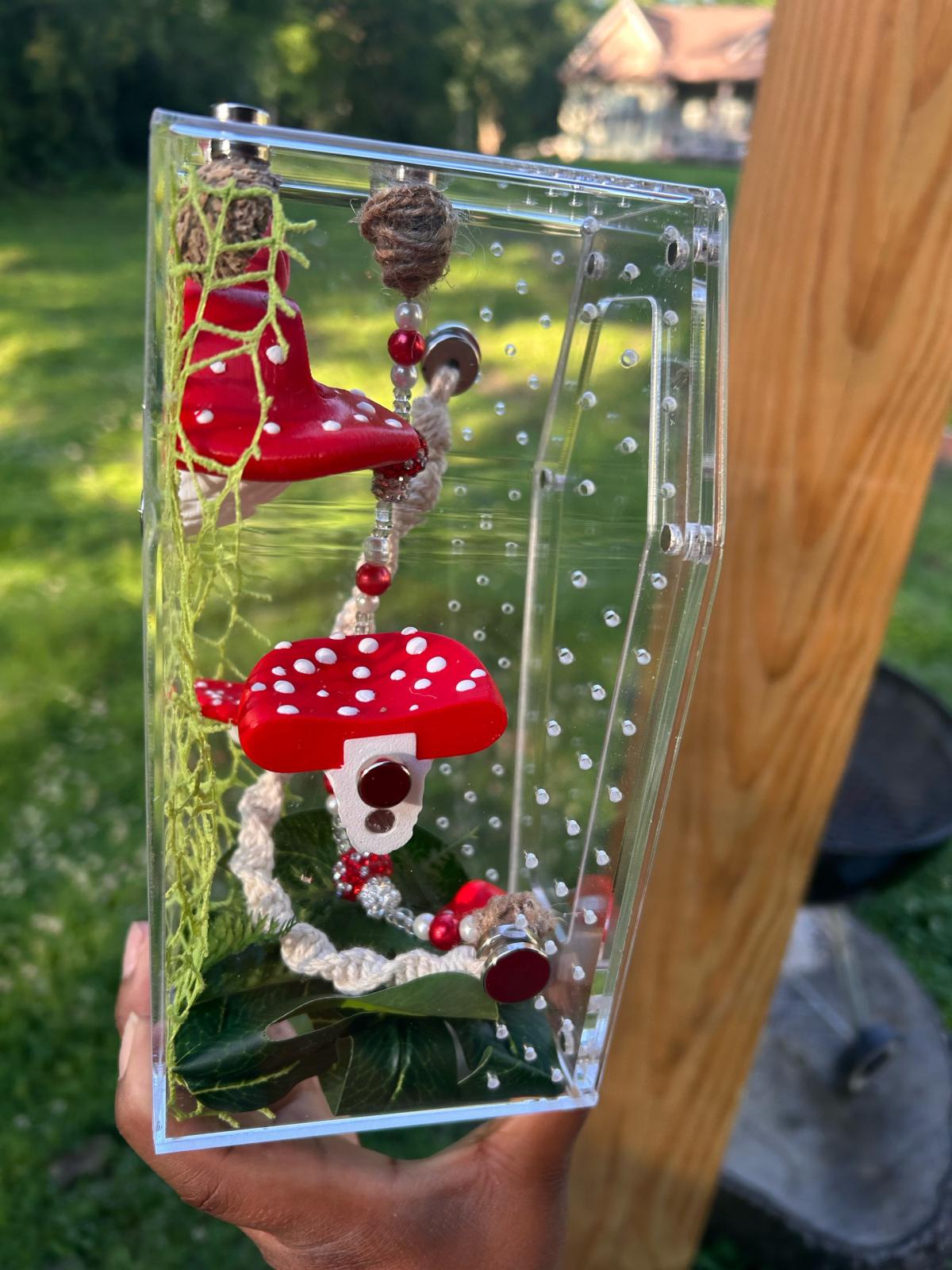 MushRoom Jumping Spider Enclosure Kit - Acworth, Georgia - FleaMarketBay