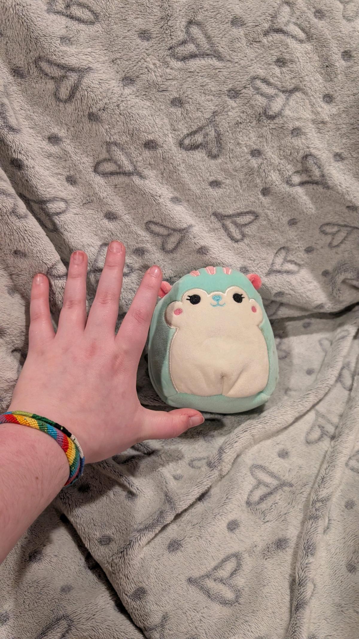 mini squirrel squishmallow teal and pink - Greensboro, North Carolina - FleaMarketBay