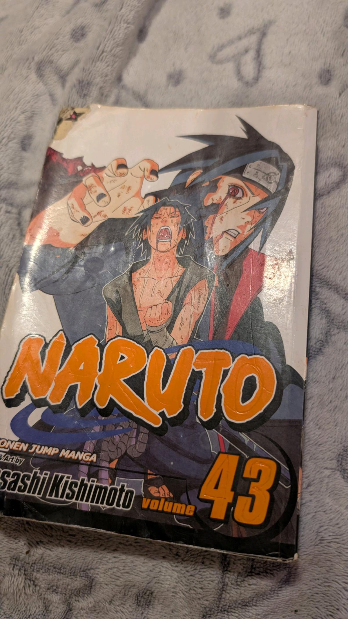 Naruto volume 43 - Greensboro, North Carolina - FleaMarketBay