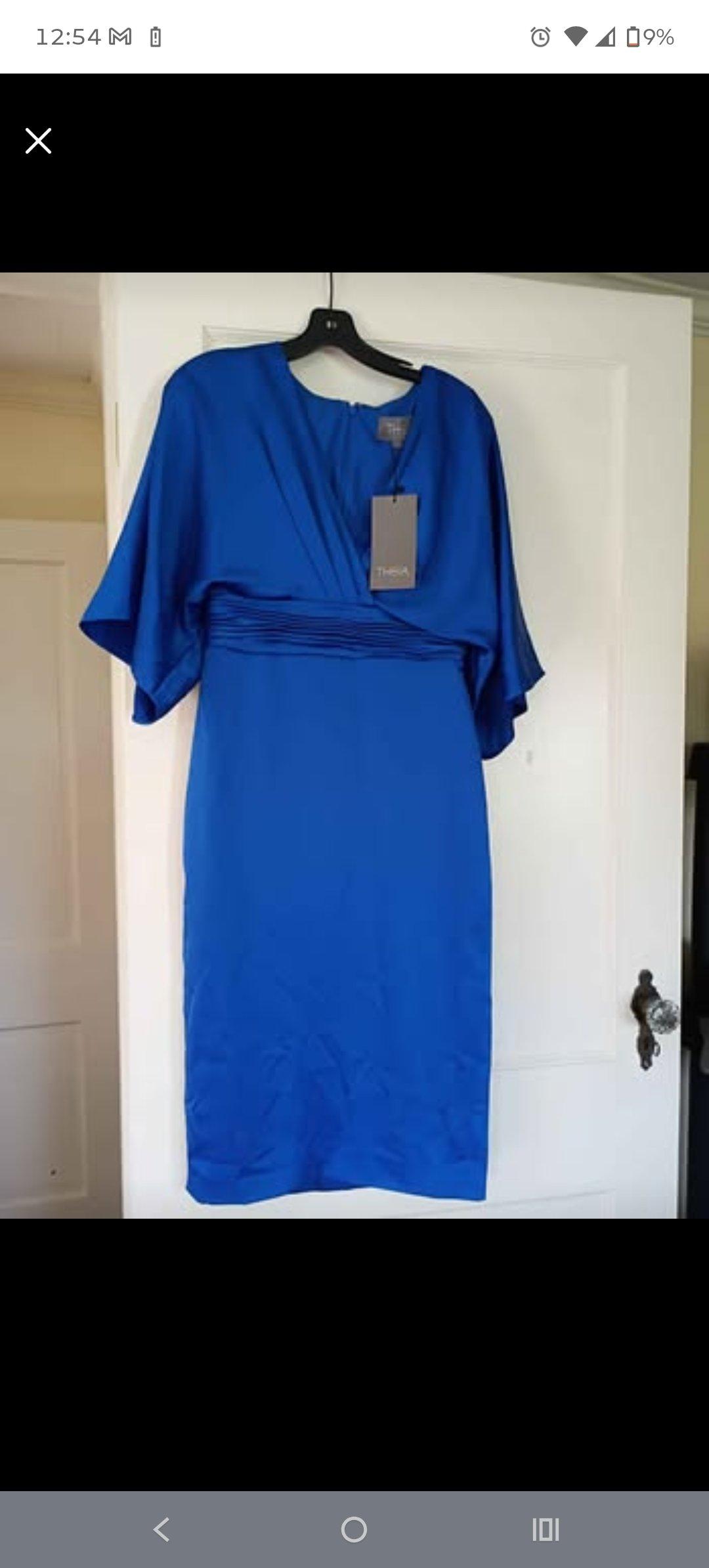 THEIA Cocktale Dress Size 6 - Smithfield, Virginia - FleaMarketBay