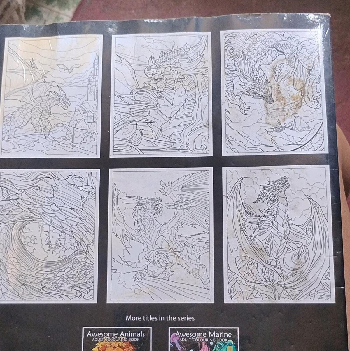 A Awesome Dragons Adult Coloring Book - Swansea, South Carolina - FleaMarketBay