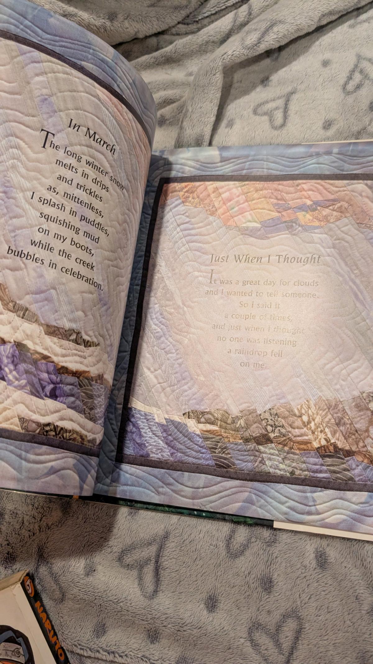 pieces a year in poems and quilts - Greensboro, North Carolina - FleaMarketBay