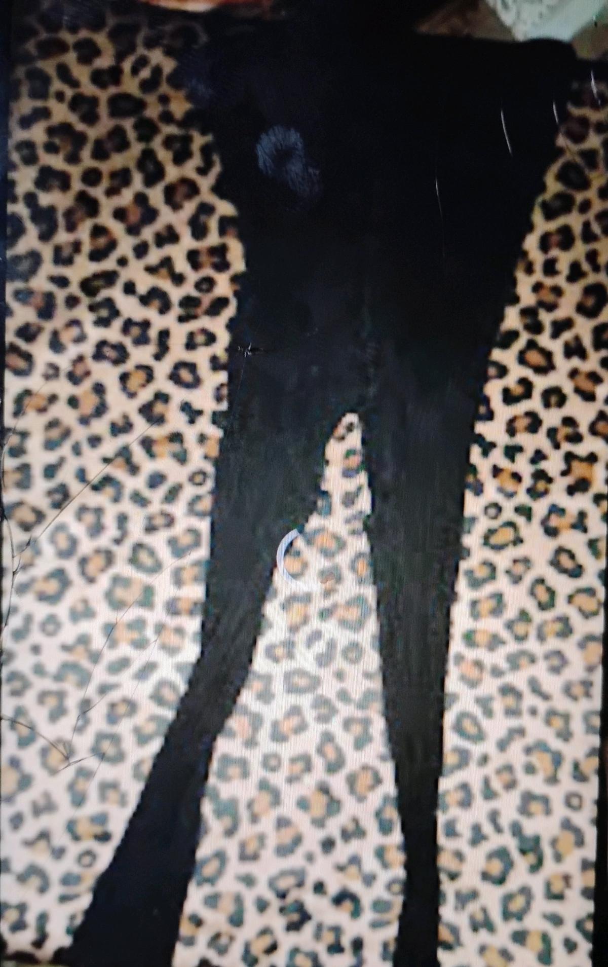 Five Pairs of Crotchless Pantyhose - Swansea, South Carolina - FleaMarketBay