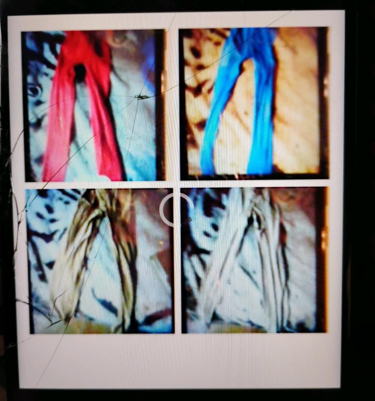 Five Pairs of Crotchless Pantyhose - Swansea, South Carolina - FleaMarketBay