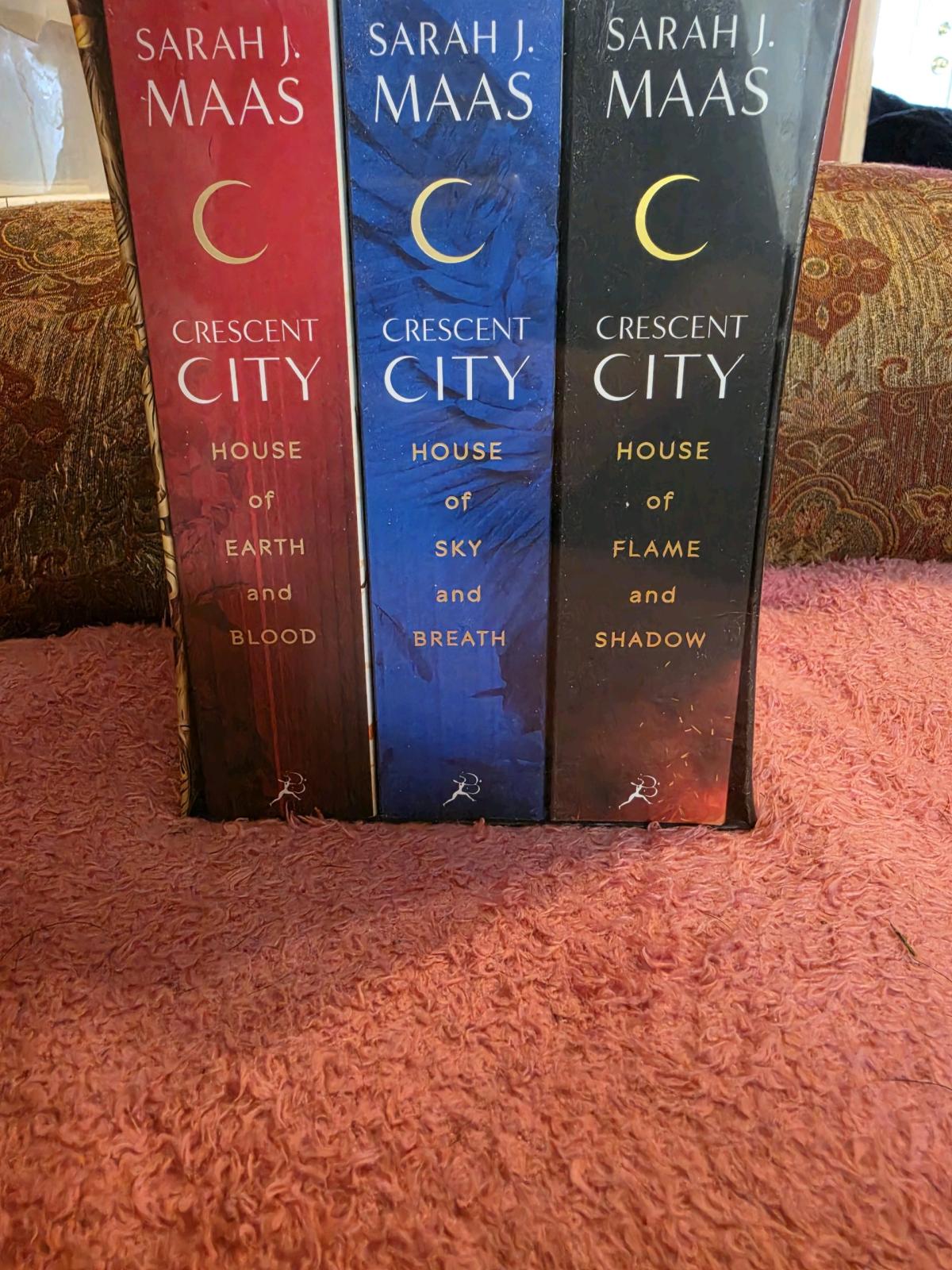 Crescent City book box set - Newport News, Virginia - FleaMarketBay