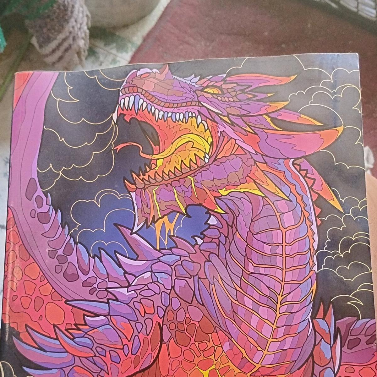 A Awesome Dragons Adult Coloring Book - Swansea, South Carolina - FleaMarketBay