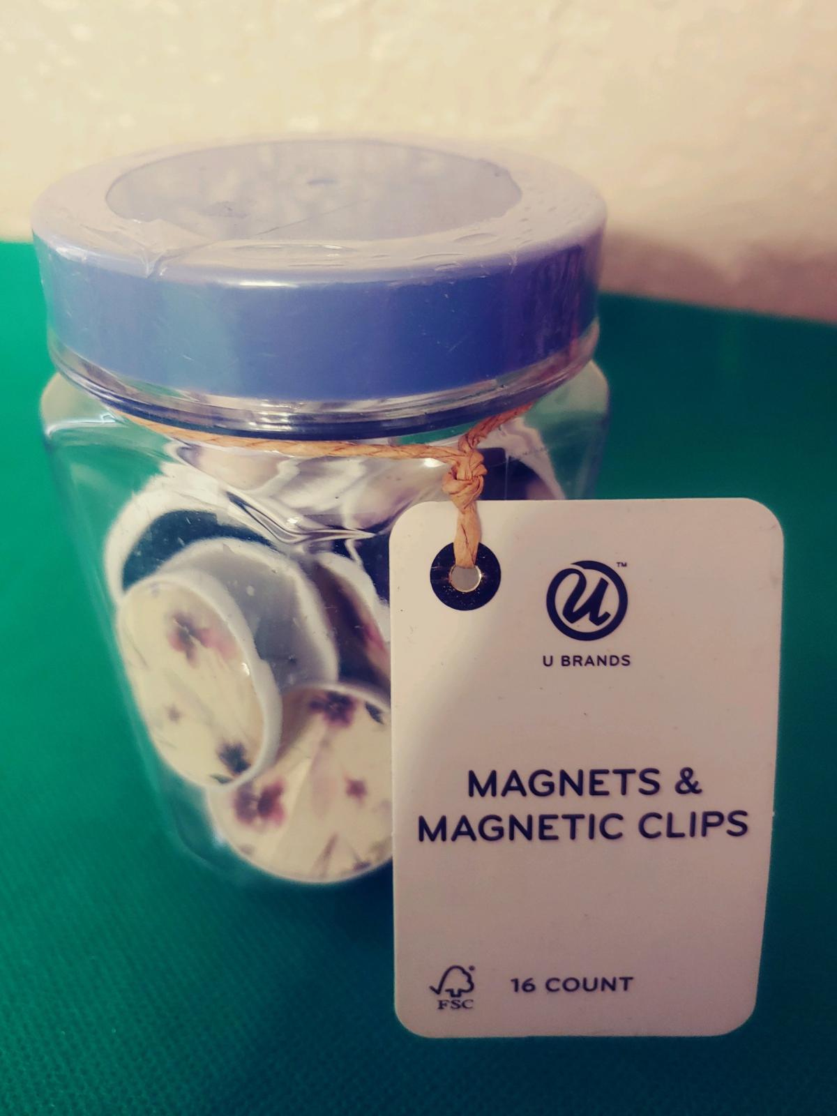 Magnet with Magnetic Clilps 16 Count - Clearfield, Utah - FleaMarketBay