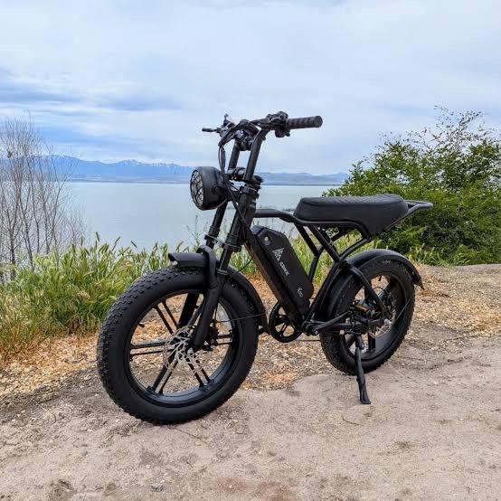 TST e bike r002 - Fairfield, California - FleaMarketBay