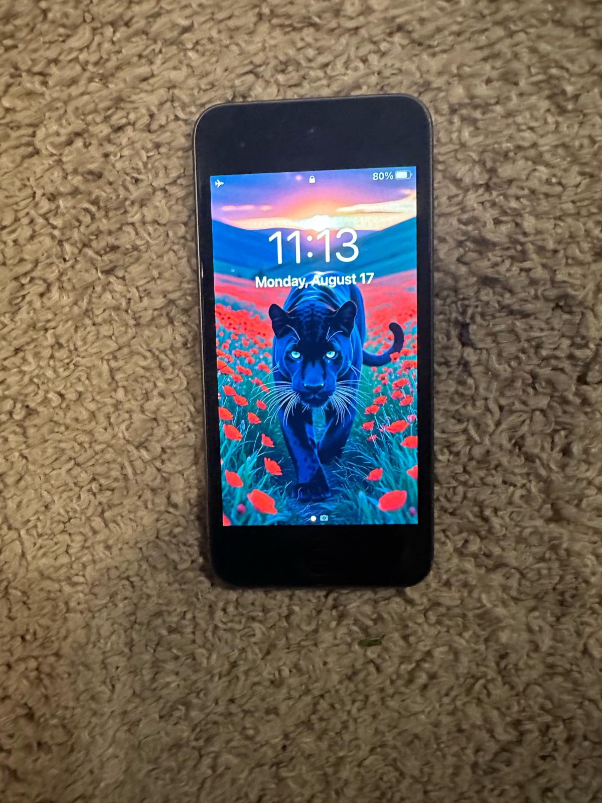 Apple IPod Touch - Olympia, Washington - FleaMarketBay