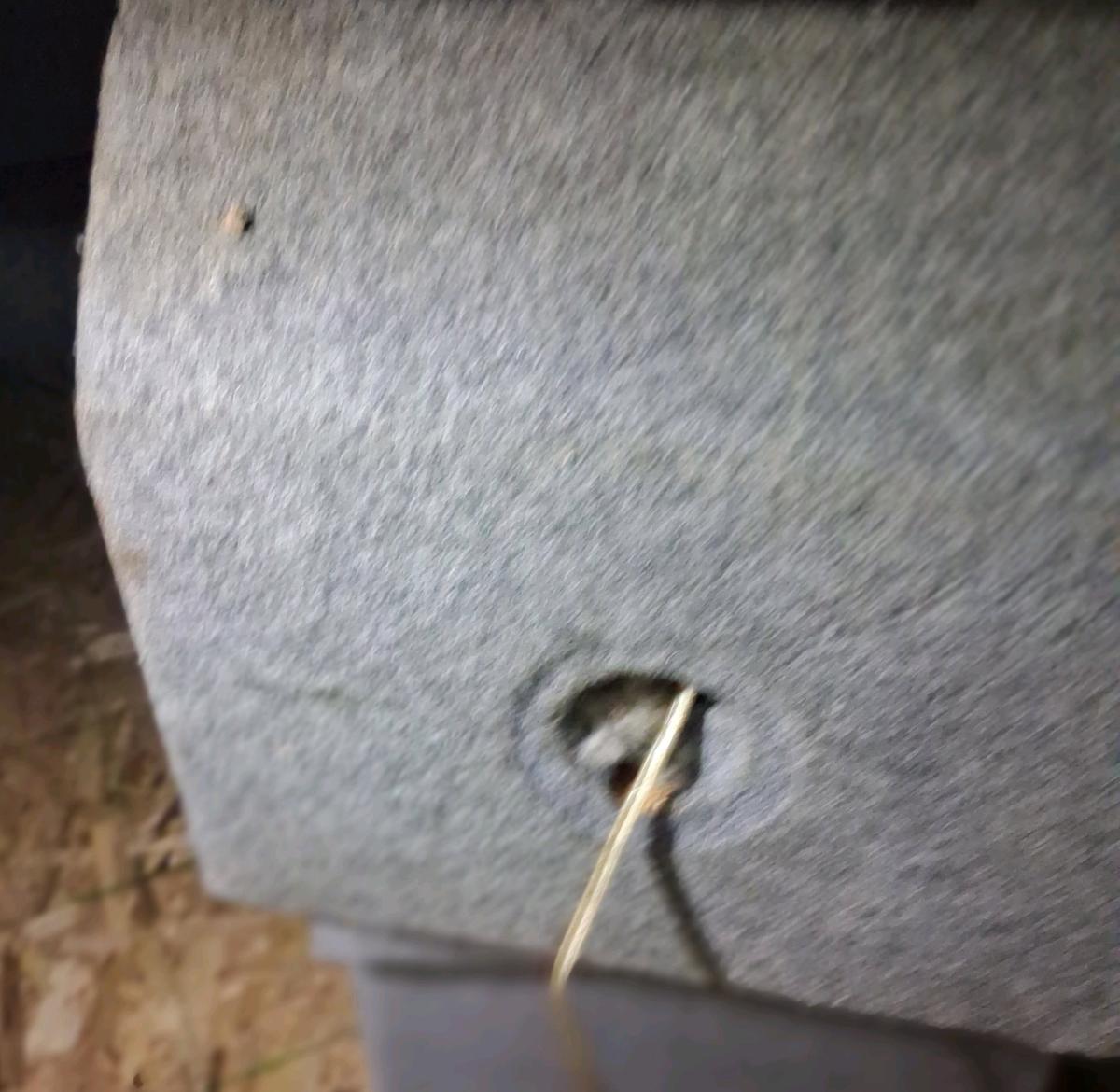 Sony Xplod 1300W 12inch subwoofer model XSL122P5 mounted - Charleston, West Virginia - FleaMarketBay