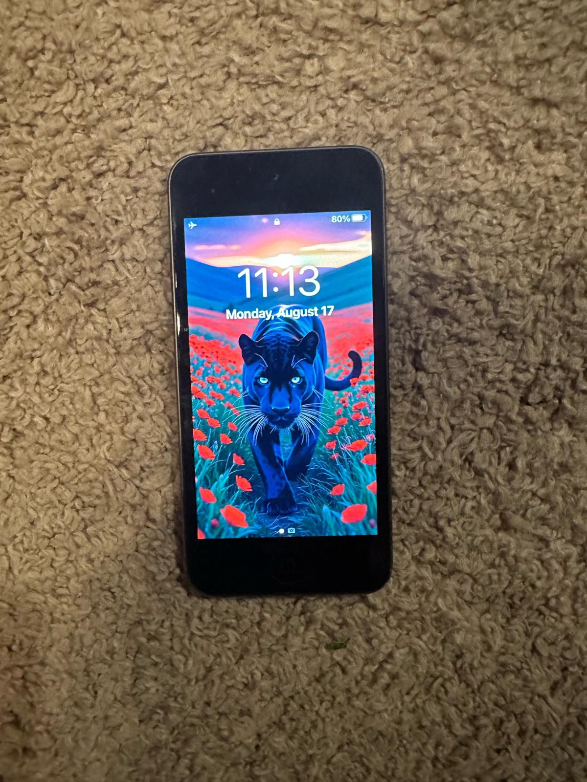 Apple IPod Touch - Olympia, Washington - FleaMarketBay