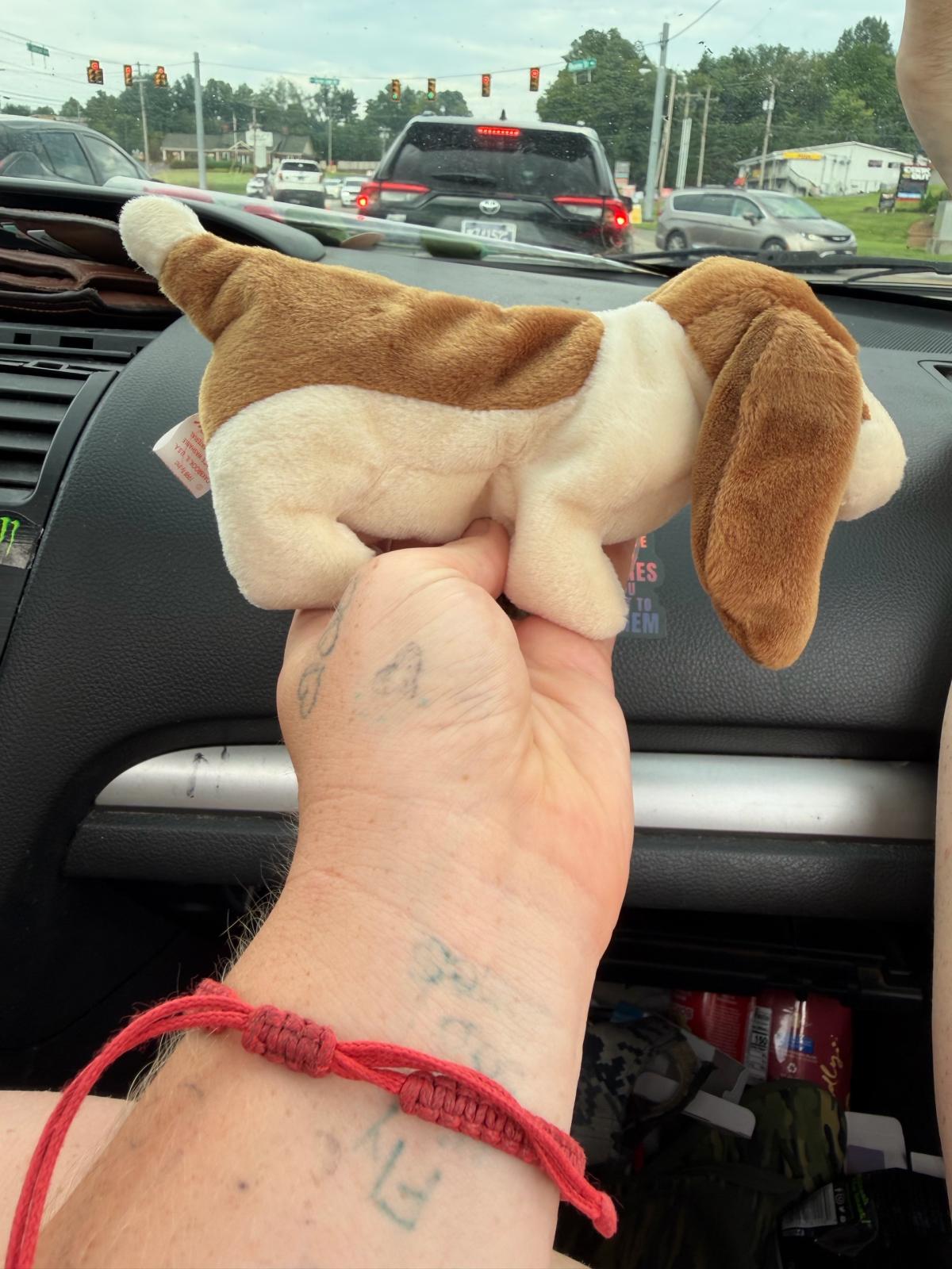 Ty beanie babies this is tracker - Johnson City, Tennessee - FleaMarketBay