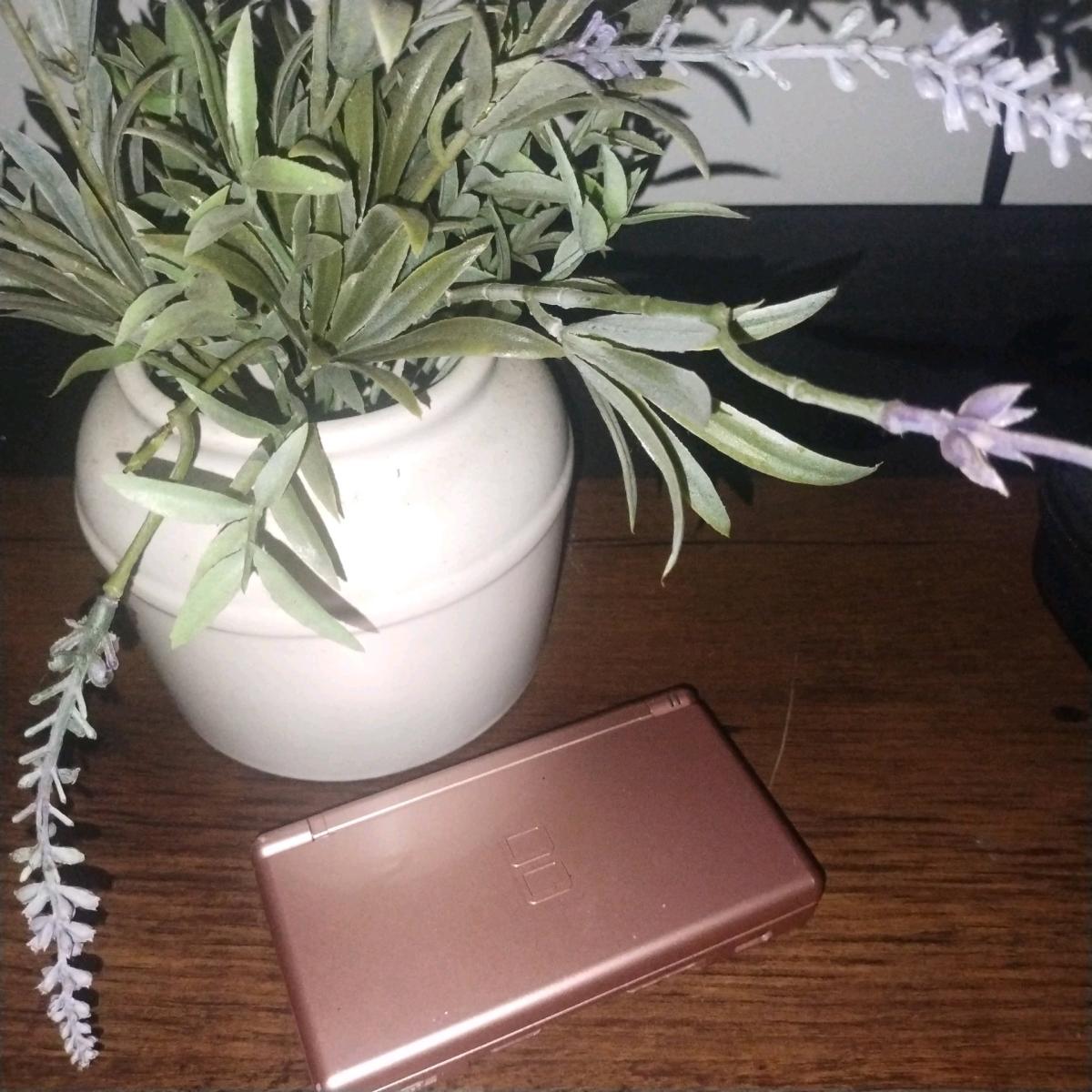 light pink Nintendo DS Lite good condition - Fort Lauderdale, Florida - FleaMarketBay