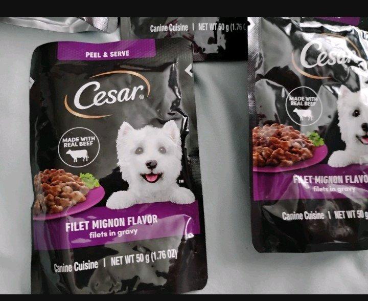 Caesar wet dog food in pouches - Mount Airy, North Carolina - FleaMarketBay