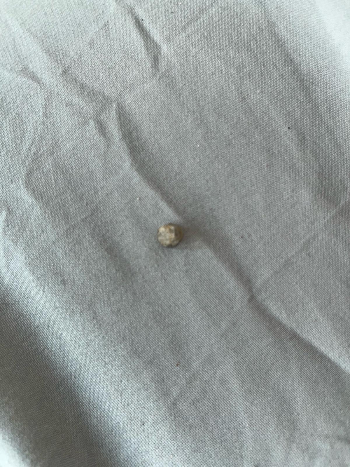 uncut diamonds - Smithfield, North Carolina - FleaMarketBay