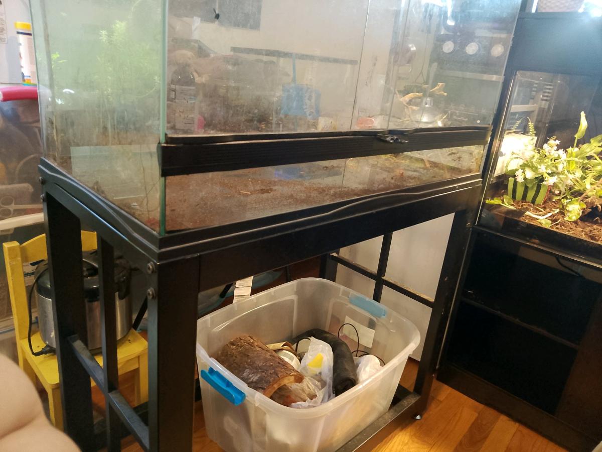 40 gallon reptizoo front open terrarium with metal stand - Wheaton, Illinois - FleaMarketBay