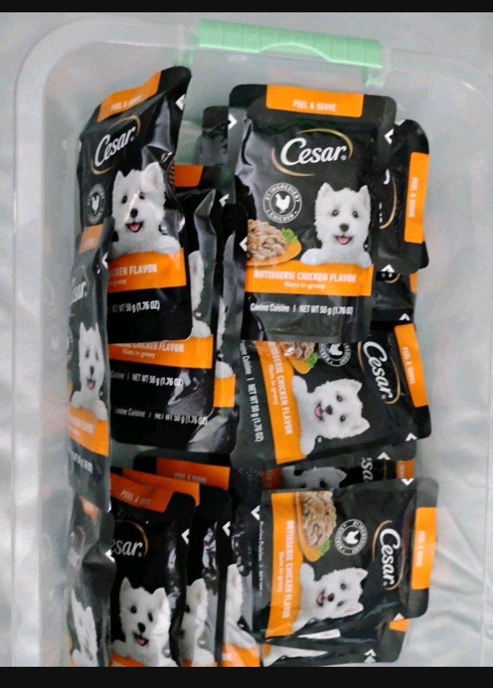 Caesar wet dog food in pouches - Mount Airy, North Carolina - FleaMarketBay