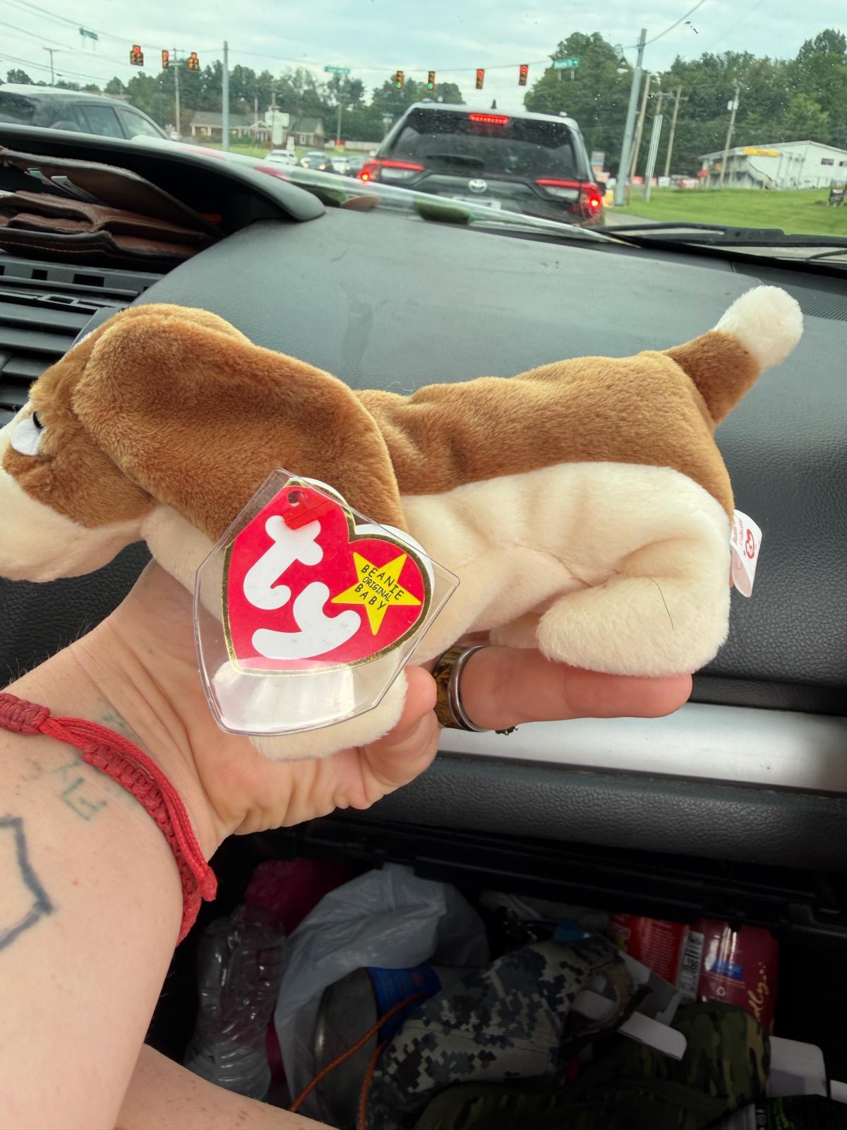 Ty beanie babies this is tracker - Johnson City, Tennessee - FleaMarketBay