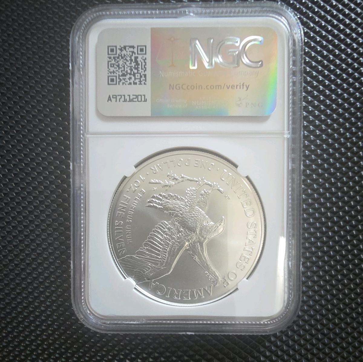 2025 EARLY RELEASE MS69 1 DOLLAR SILVER EAGLE - Kandiyohi, Minnesota - FleaMarketBay