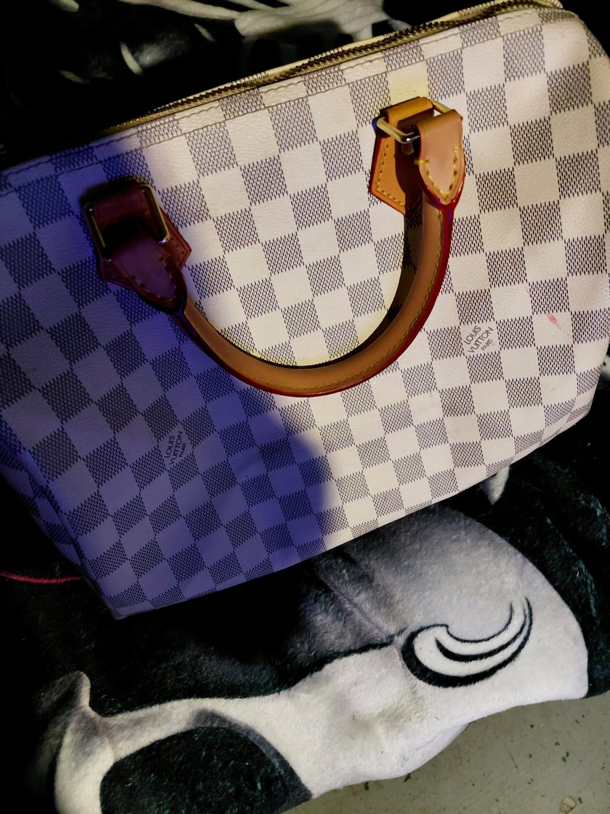 Louis Vuitton purse - Kingsport, Tennessee - FleaMarketBay