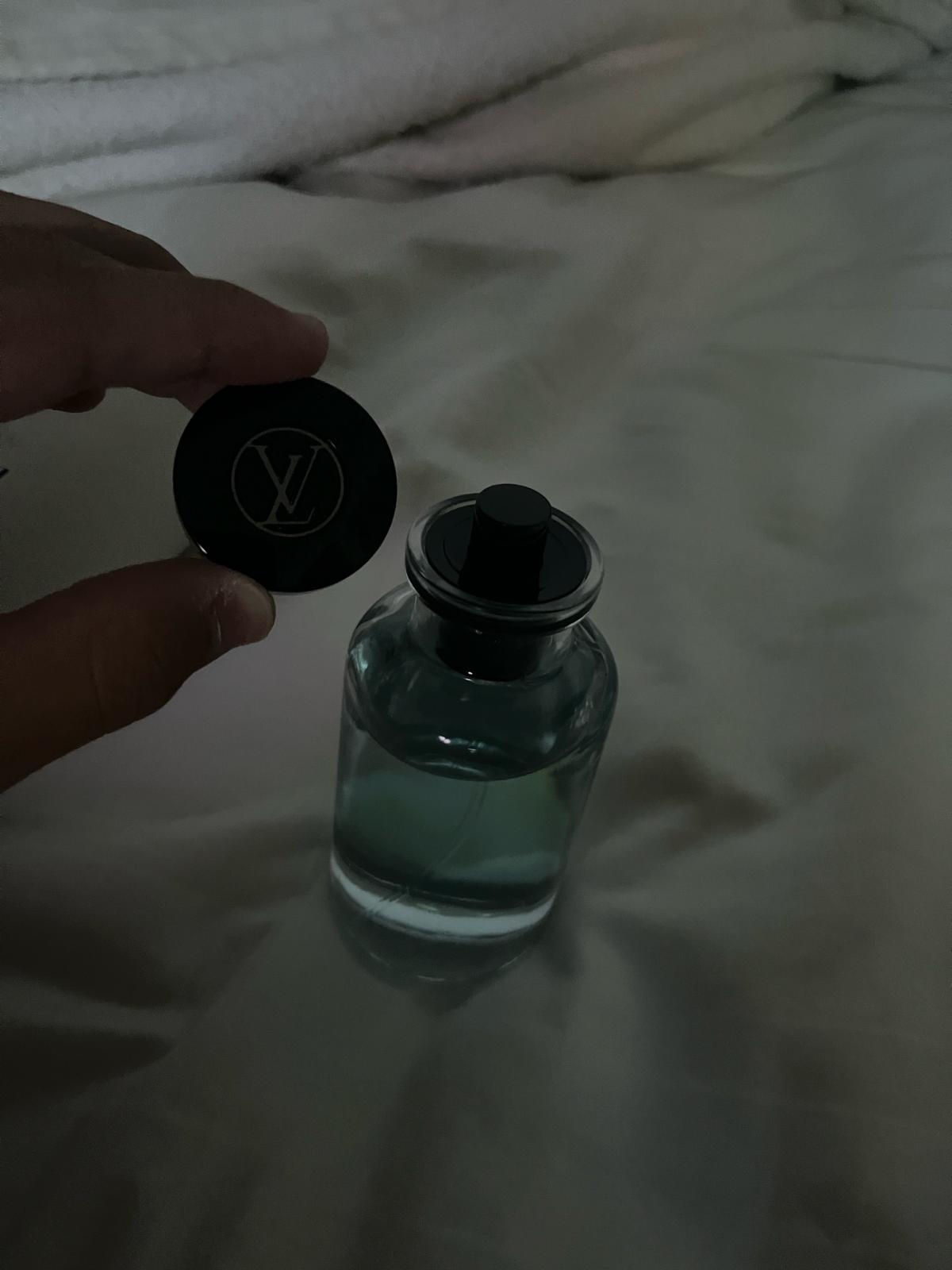 Louis Vuitton imagination - Adrian, Pennsylvania - FleaMarketBay