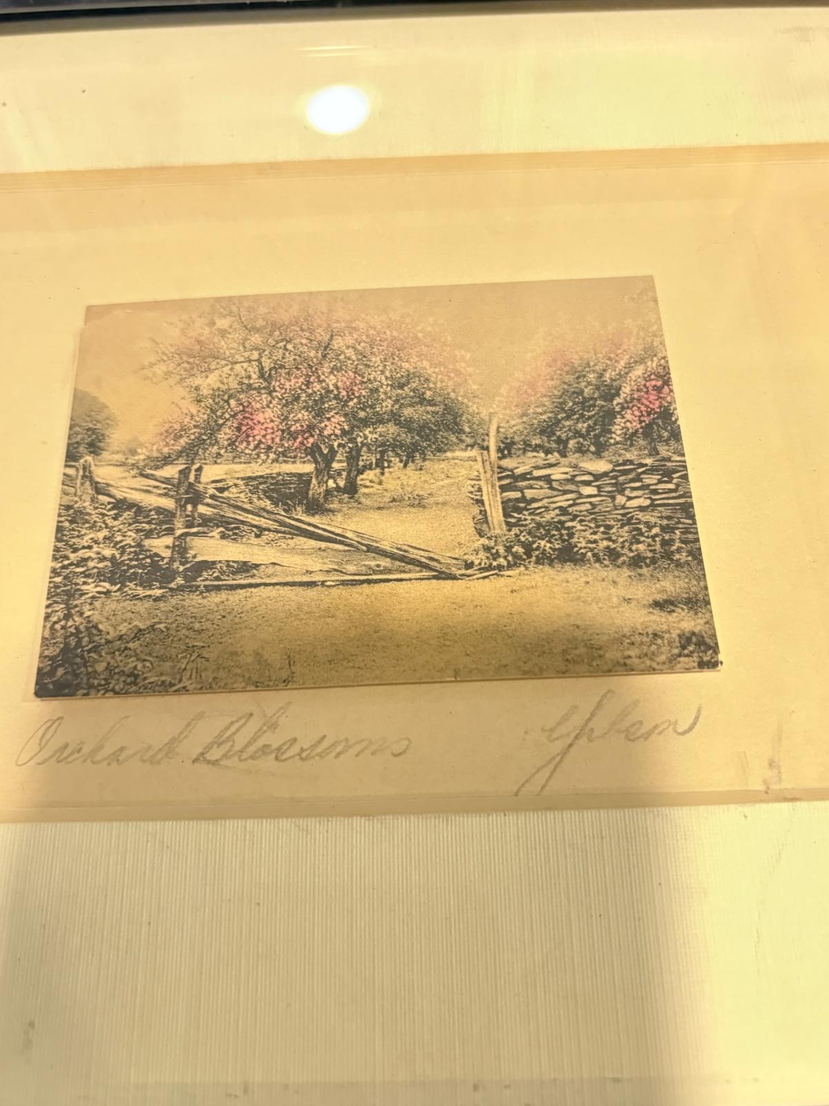 Antique framed hand colored photographs by Gibson 1900 - Tucson, Arizona - FleaMarketBay