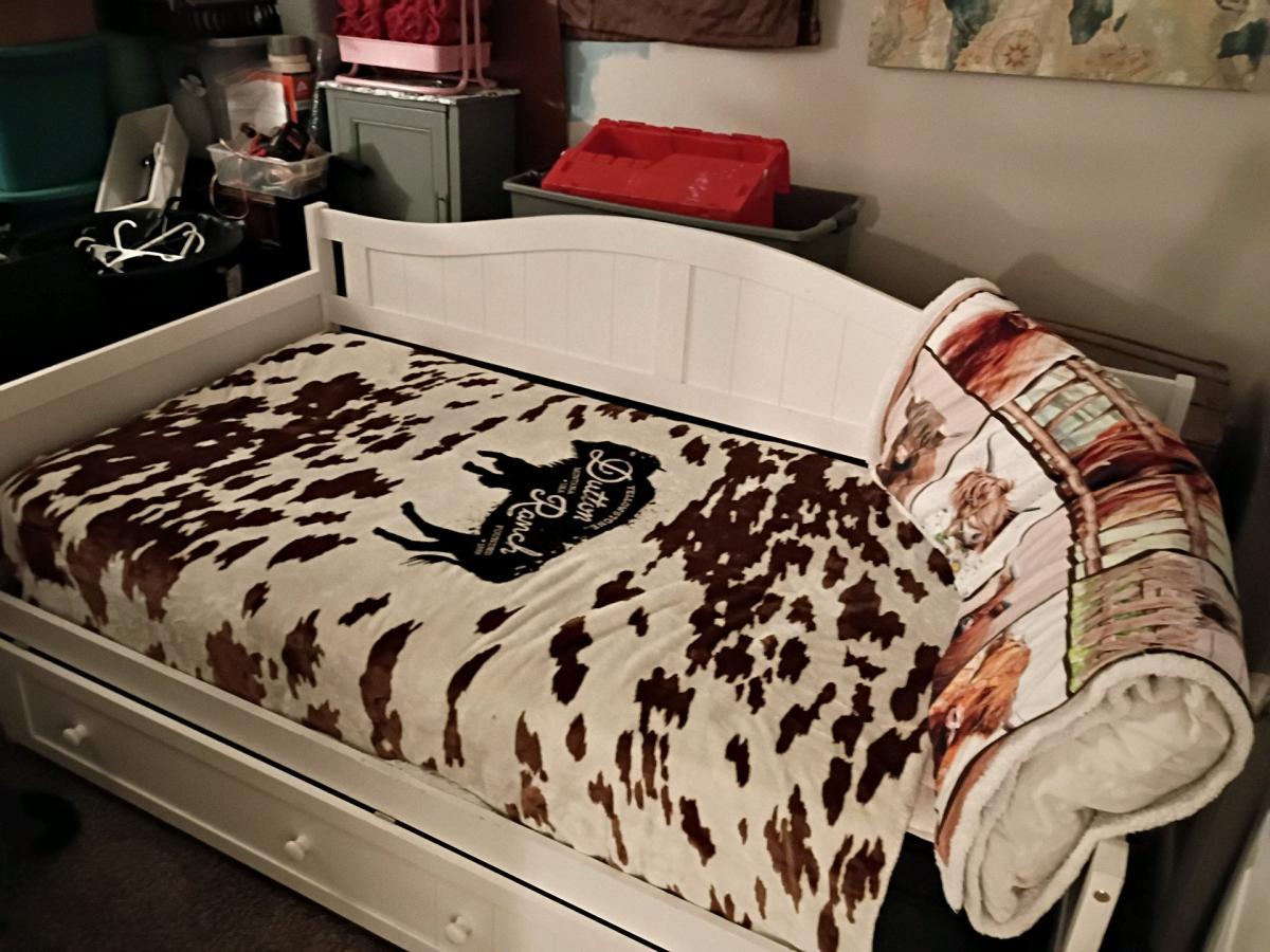 twin size day bed with mattress still in the plastic - Henderson, Kentucky - FleaMarketBay