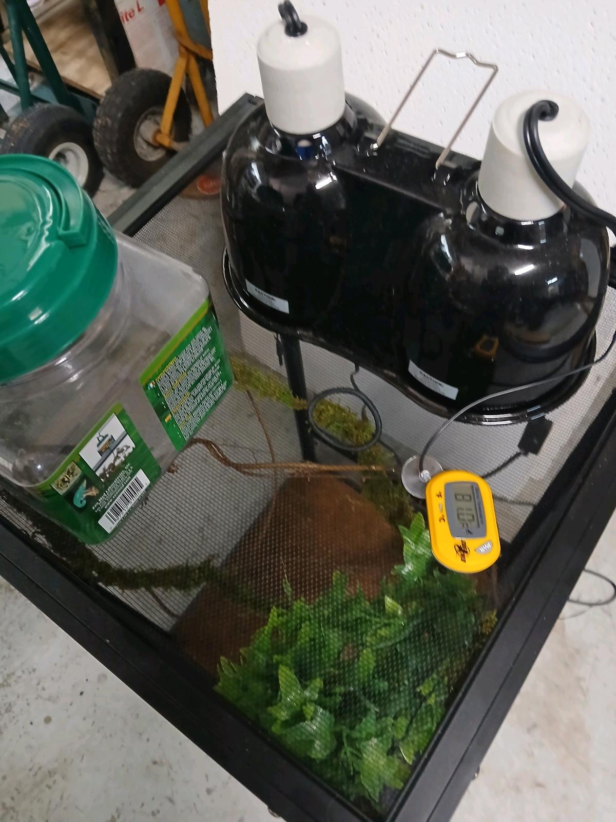New chameleon cage - Lehigh Acres, Florida - FleaMarketBay