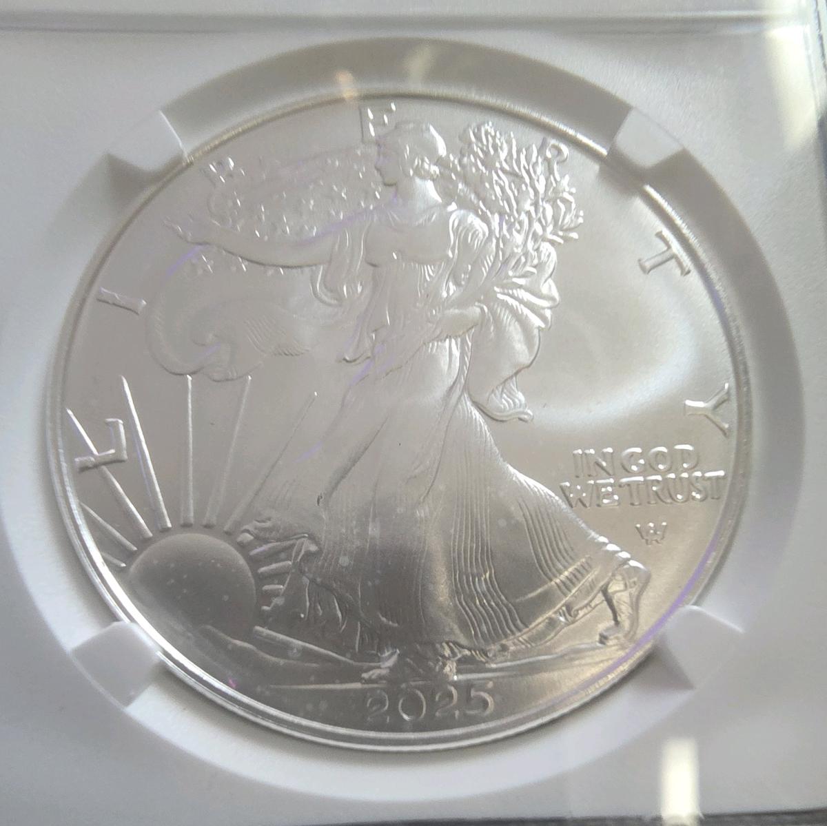2025 EARLY RELEASE MS69 1 DOLLAR SILVER EAGLE - Kandiyohi, Minnesota - FleaMarketBay