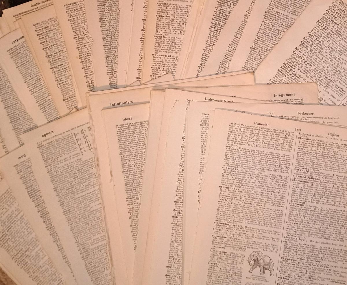 100 pages  Vintage 1947 Dictionary Ephemera - Summerville, South Carolina - FleaMarketBay