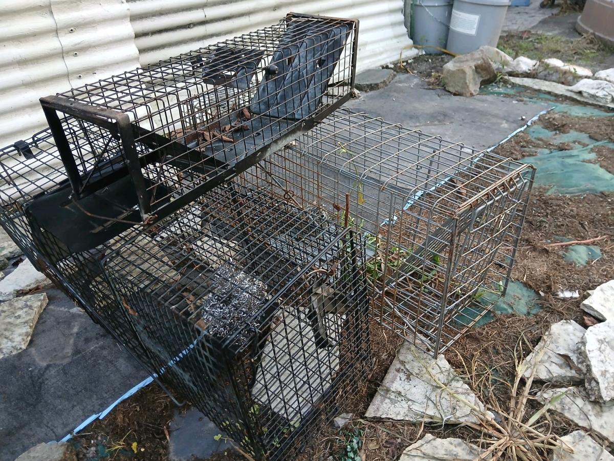 3 live traps - Jacksonville, North Carolina - FleaMarketBay
