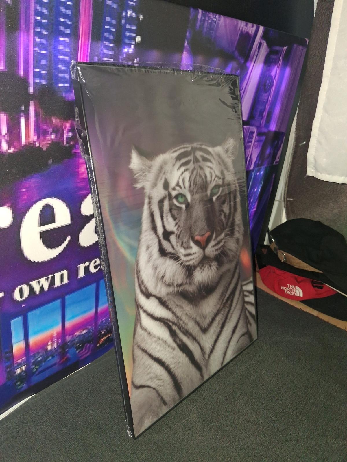 Animal 11x17 Framed 35 each Shipping on Facebook or Ebay - Houston, Texas - FleaMarketBay