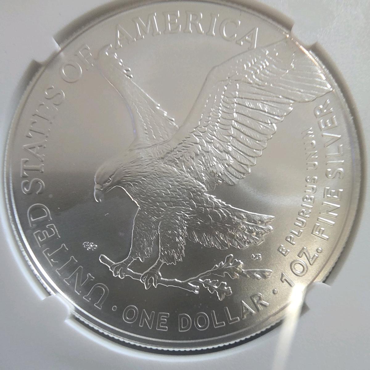 2025 EARLY RELEASE MS69 1 DOLLAR SILVER EAGLE - Kandiyohi, Minnesota - FleaMarketBay