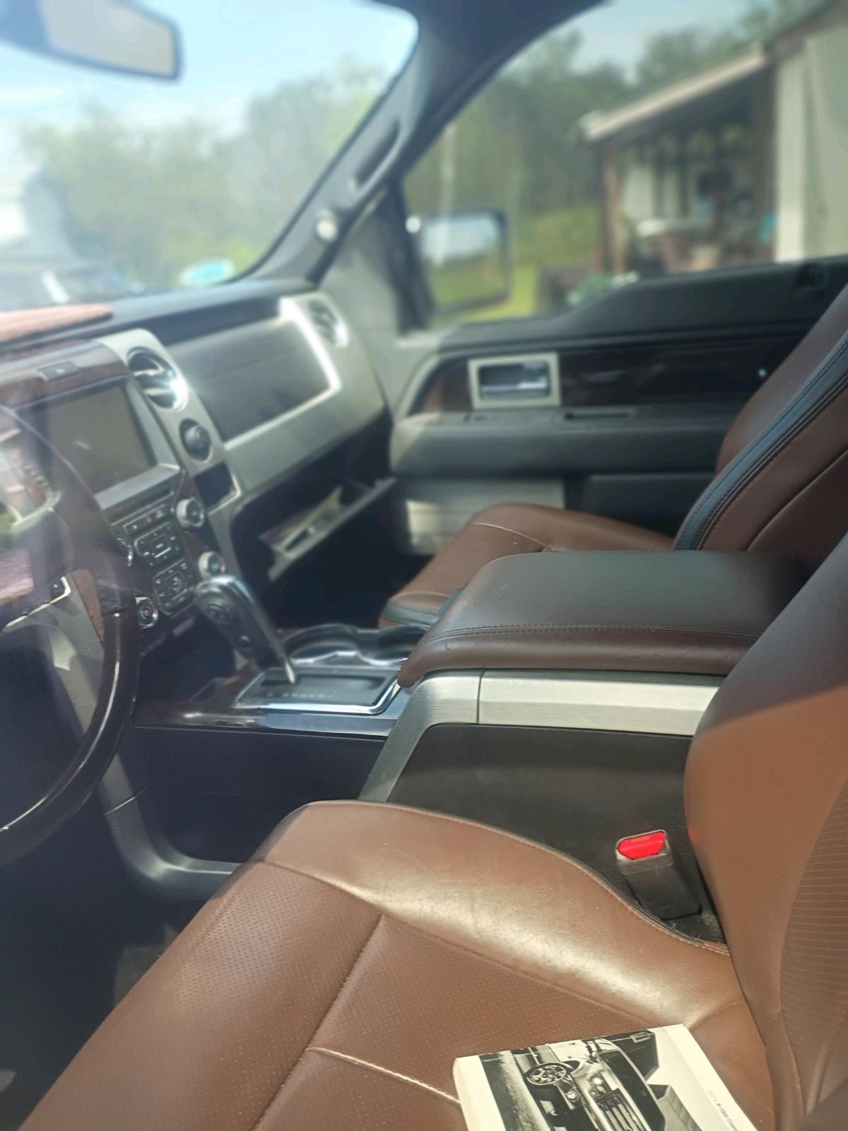 2014 Ford Platinum - Pelion, South Carolina - FleaMarketBay