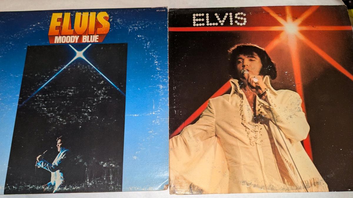 2 pc Lot Elvis Vinyl Records - New Bern, North Carolina - FleaMarketBay