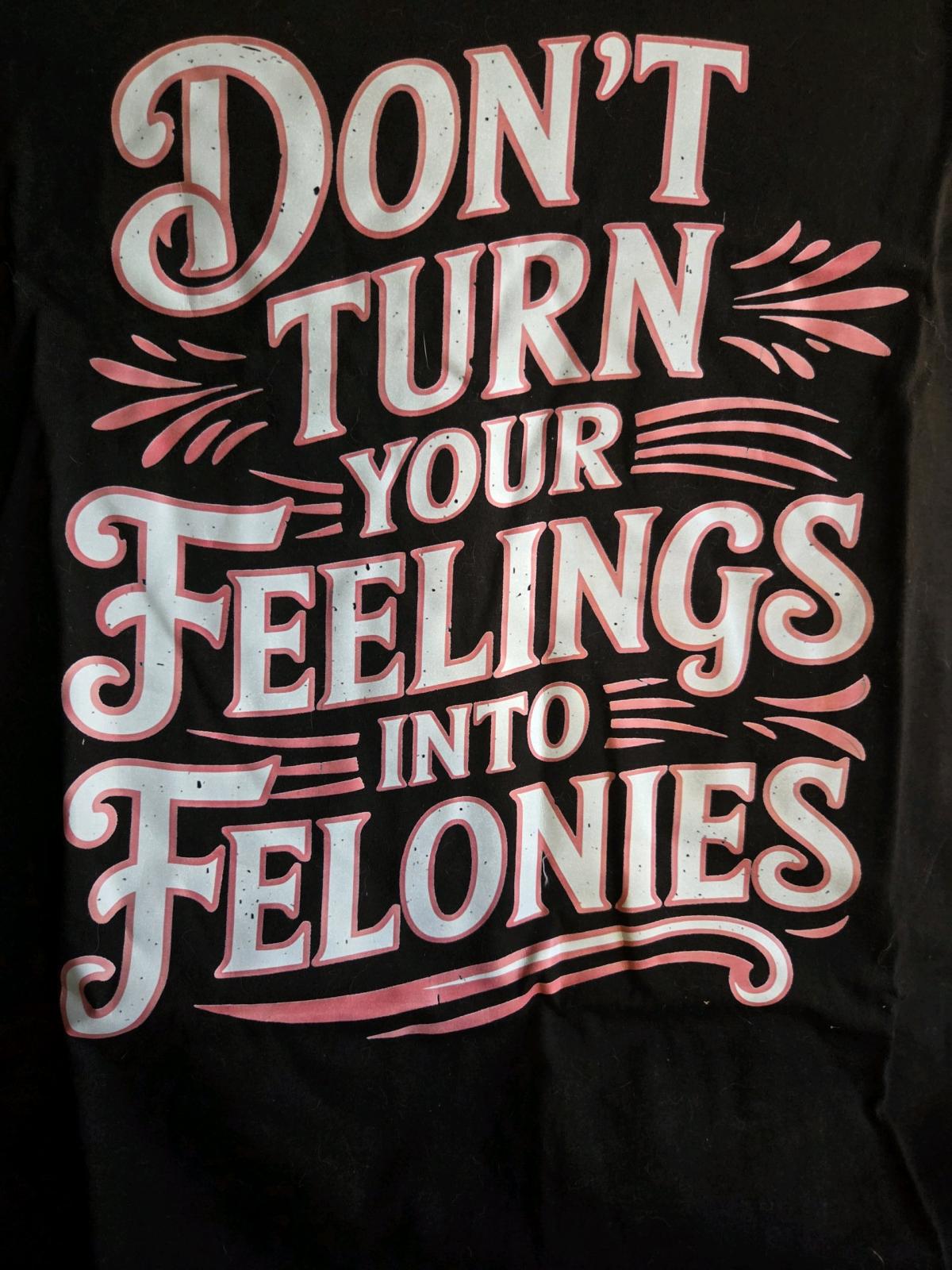 extra large dont turn your feelings into felonies graphic ts - Gilbert, Arizona - FleaMarketBay