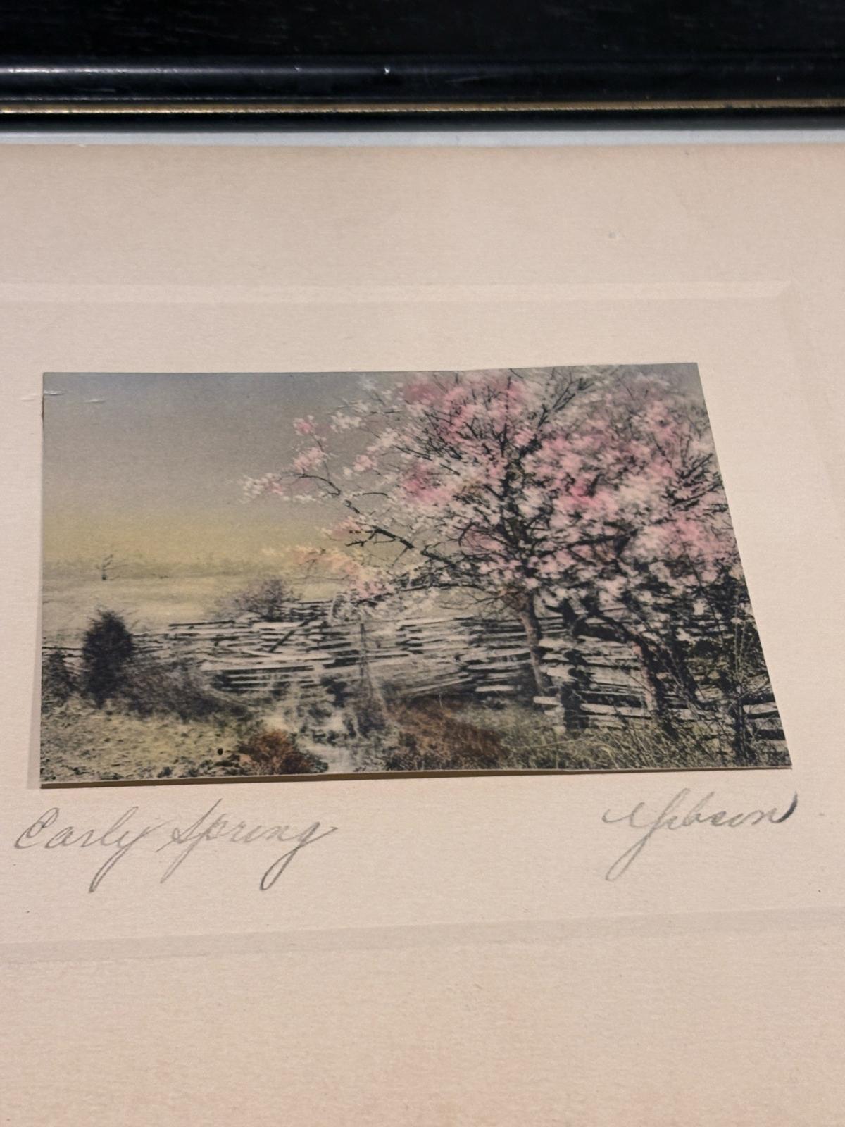 Antique framed hand colored photographs by Gibson 1900 - Tucson, Arizona - FleaMarketBay