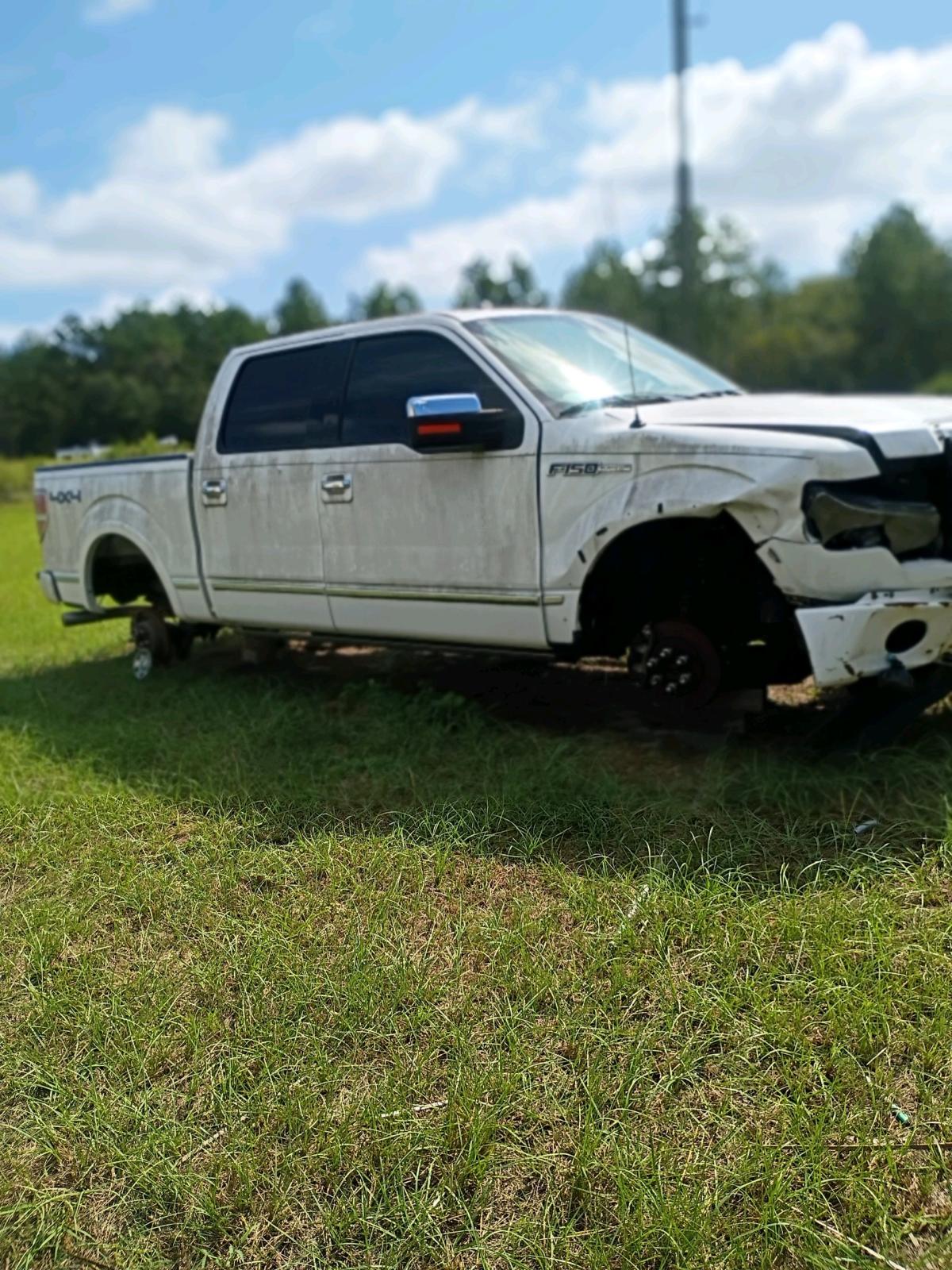 2014 Ford Platinum - Pelion, South Carolina - FleaMarketBay