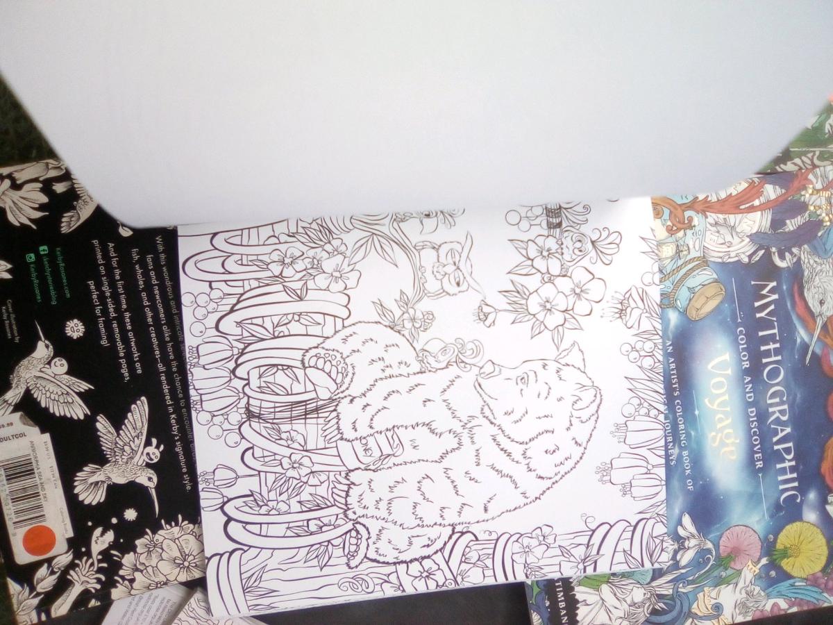 new coloring books - Arlington, Washington - FleaMarketBay